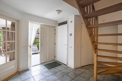 Foto Wespendief 4 Tollebeek 09.jpg